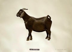 Goat facing Left- Contemporary painting, Oil & Varnish on Hahnemuehle Paper