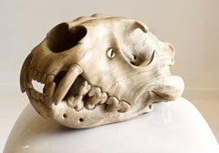 Male Lion- Contemporary sculpture, Carved Jacaranda wood, 21st Century