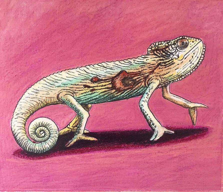 John Moore Animal Art - Knysna Chameleon- Contemporary drawing, Pastel, 21st Century