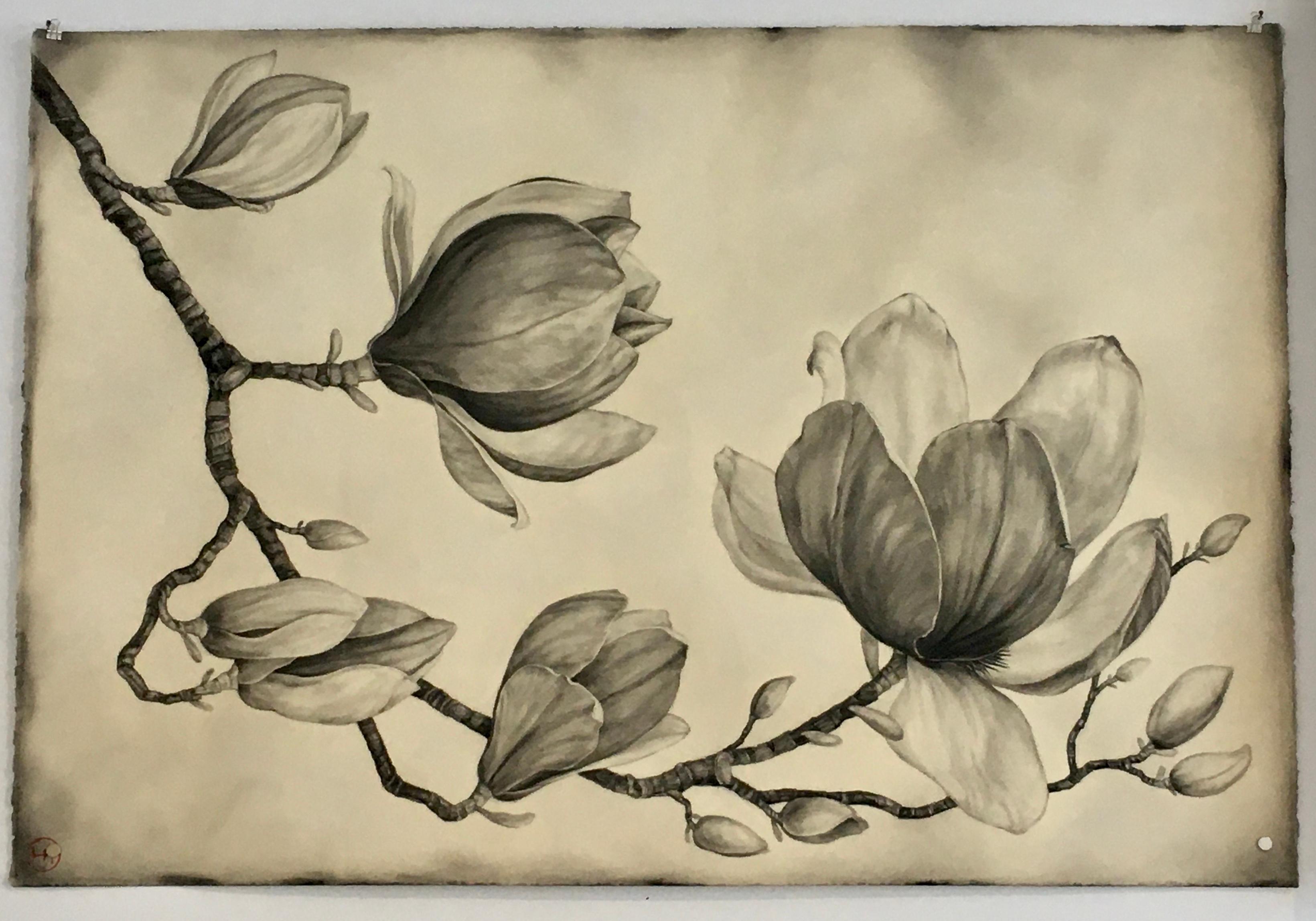 Emily Farish Landscape Art - Chinese Magnolia