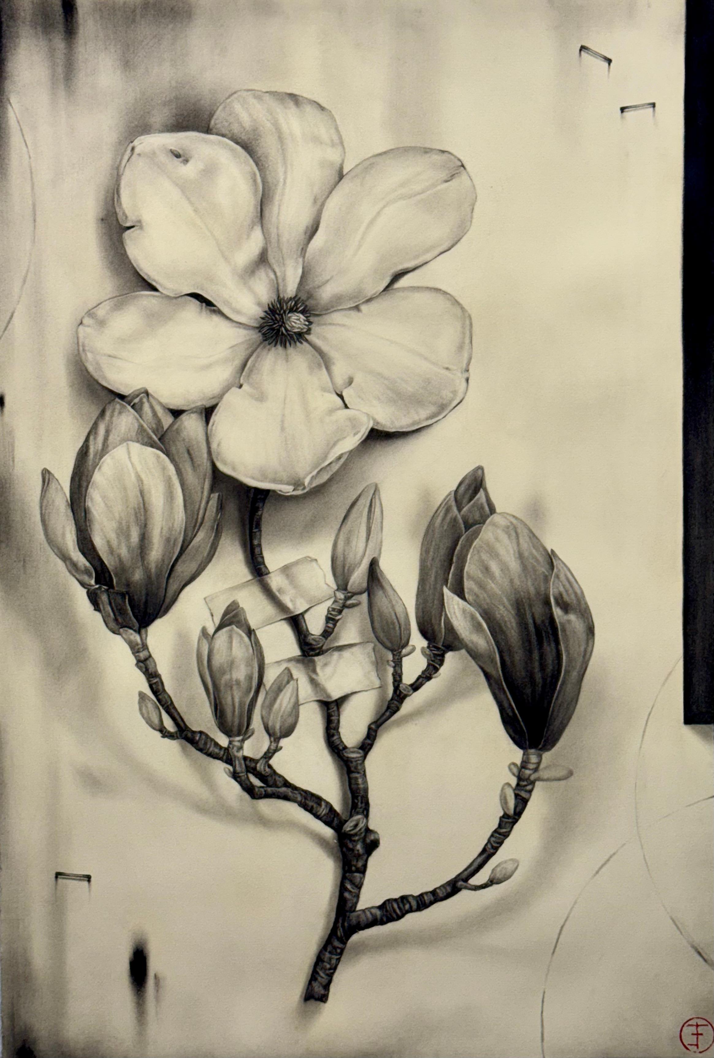 Chinesische Magnolie Nr. 289