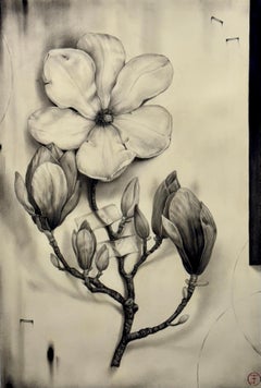 Chinesische Magnolie Nr. 289