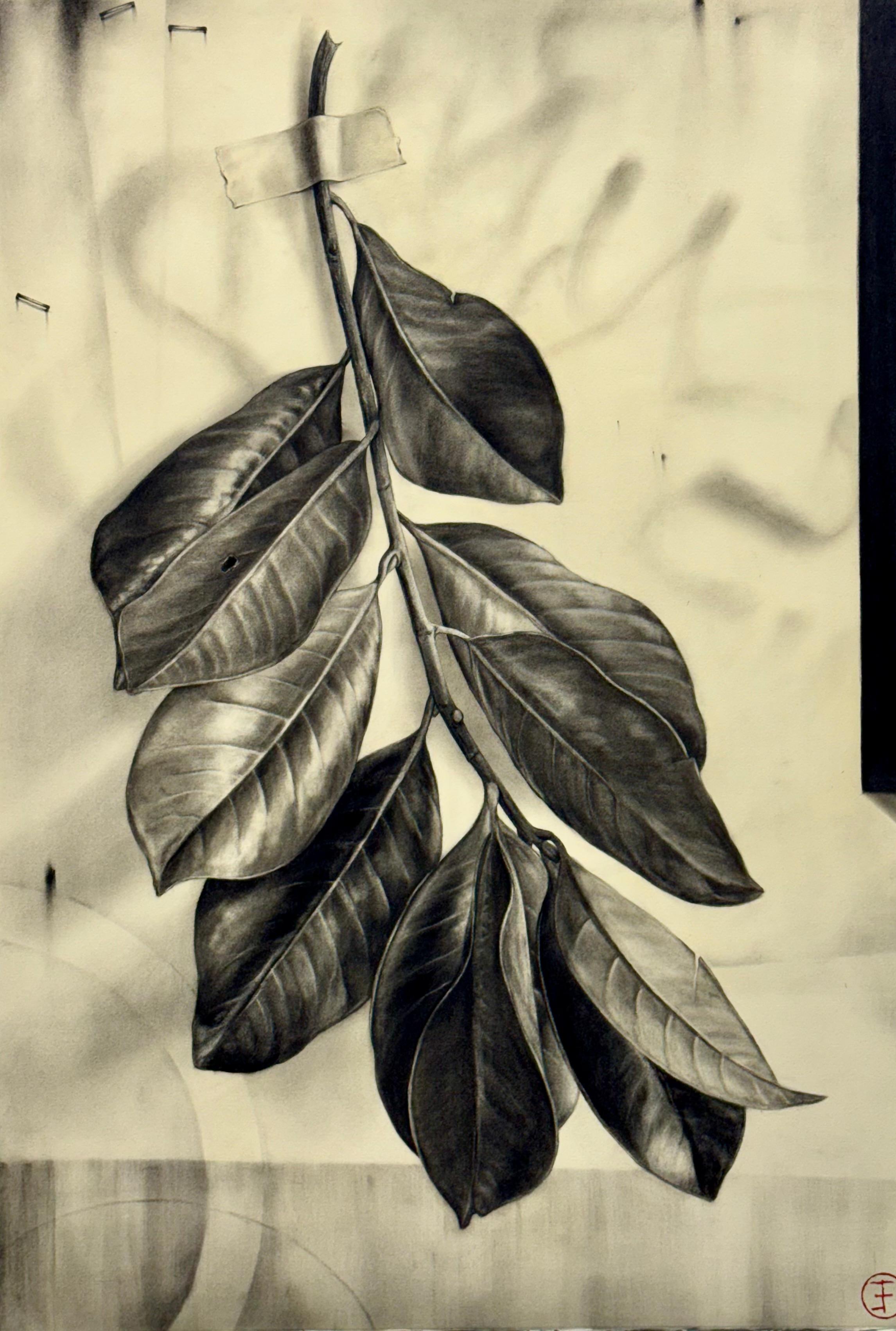 Southern Magnolia Leafy Branch No. 7