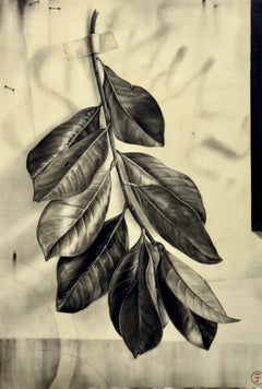 Southern Magnolia Leafy Branch No. 7