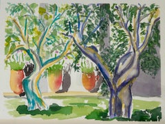 Olive Trees, Salento, Puglia