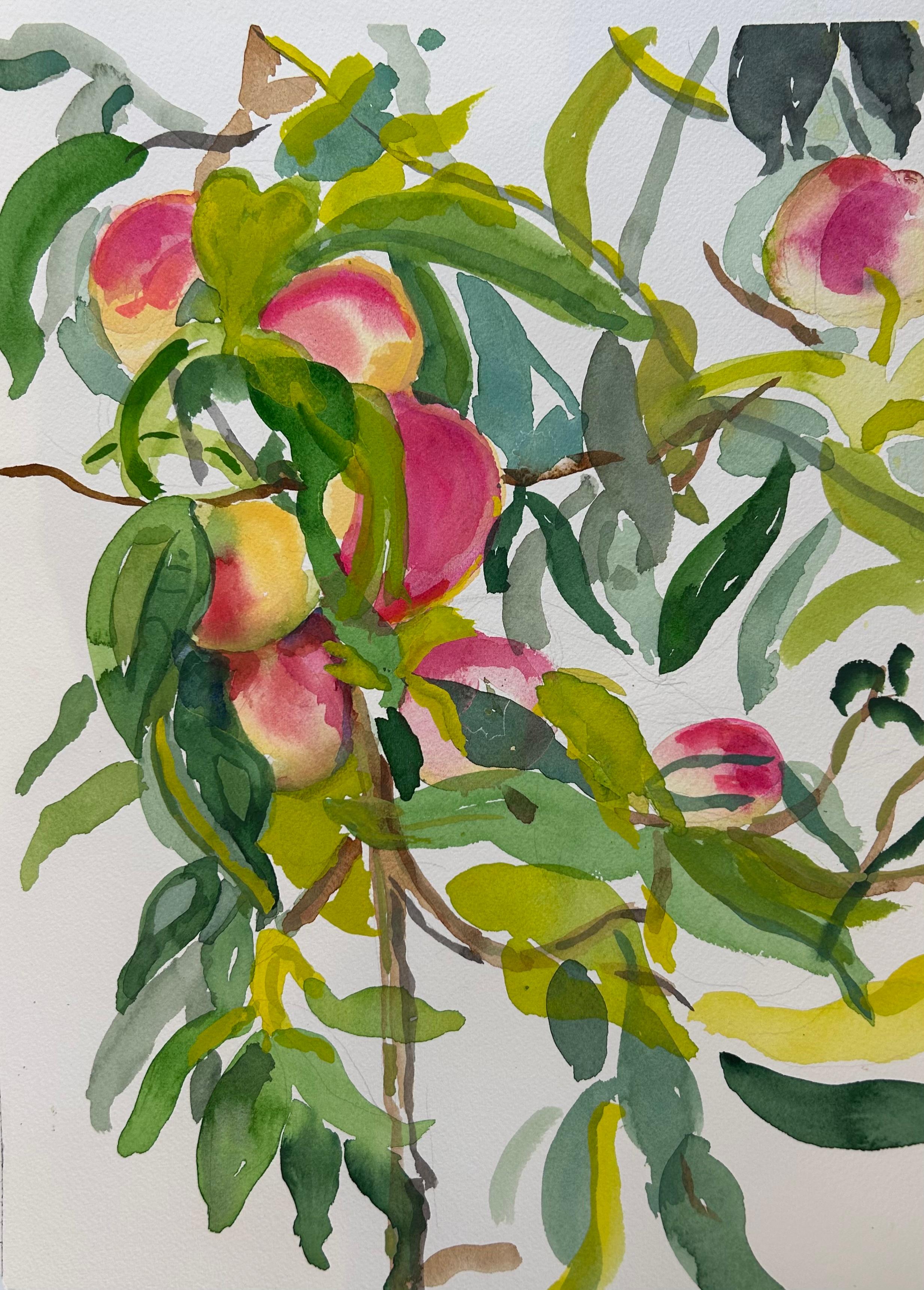 Permele Doyle Landscape Art - Wethersfield Garden Peaches