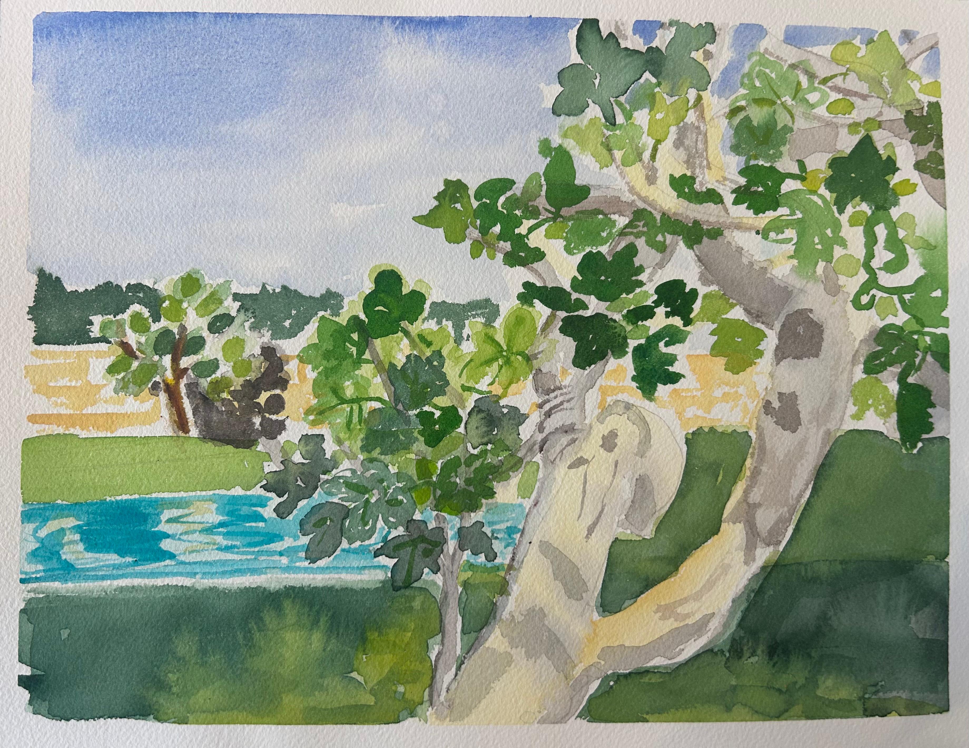 Permele Doyle Landscape Art - Fig Tree, Masseria, Montelauro, Puglia