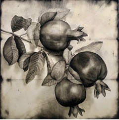 Pomegranates