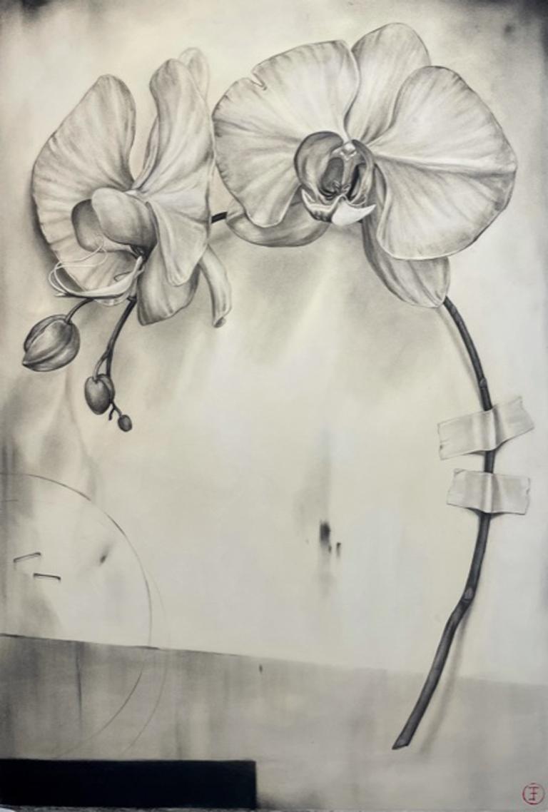 Emily Farish Landscape Art - Orchid, Two Blooms