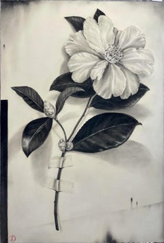 Camellia