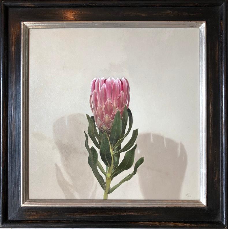 'Queen Protea' British Realist still life oil painting - Painting by Siân Hopkinson