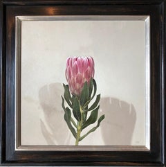 'Queen Protea' British Realist still life oil painting