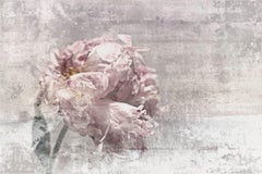 Used Romantic Peony Shabby Chic Pink Gray Mixed Medium on Canvas 36x48"