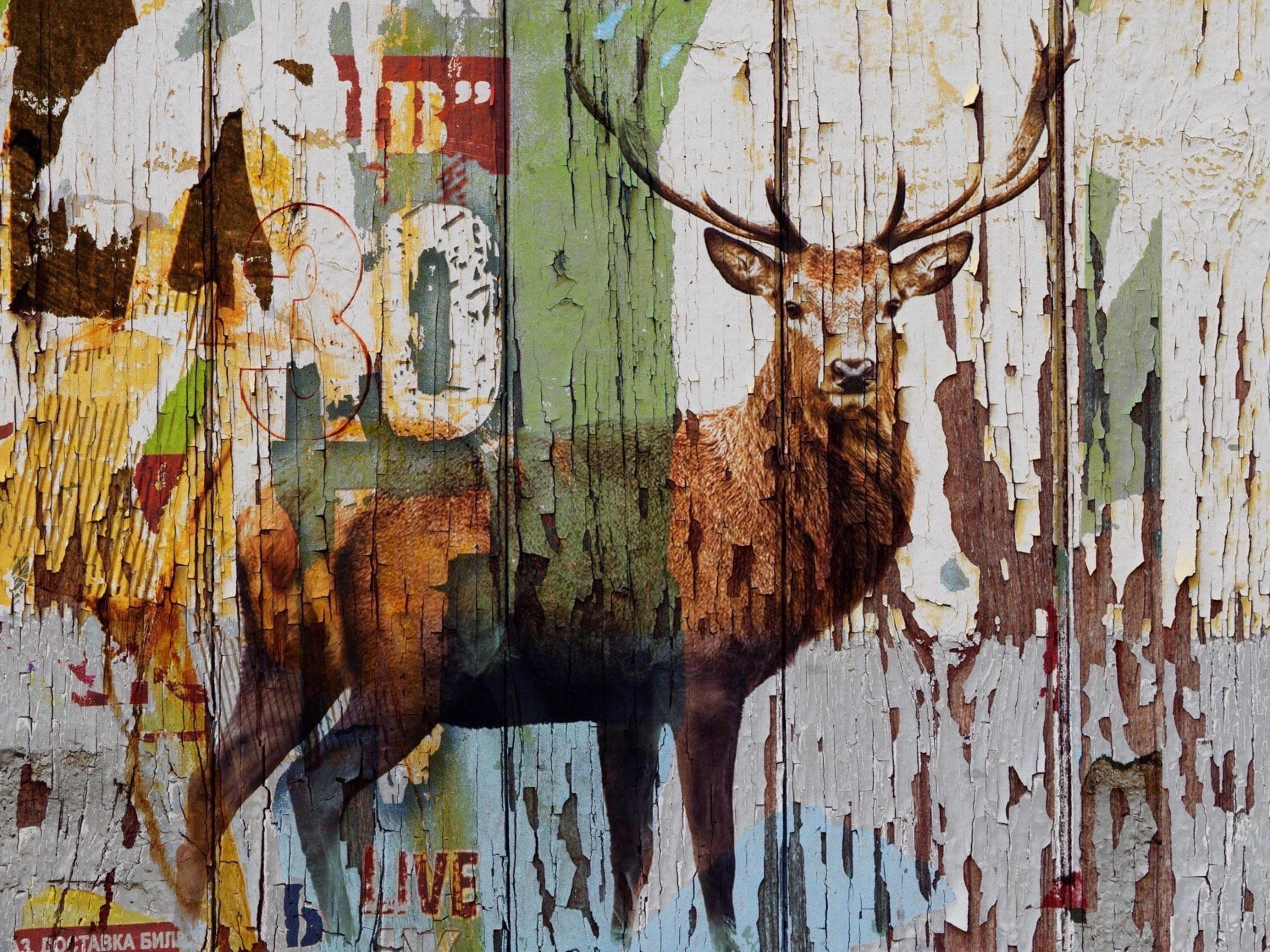 Deer Farmhouse Rustic Mixed Media Painting on Canvas 60 x 40"