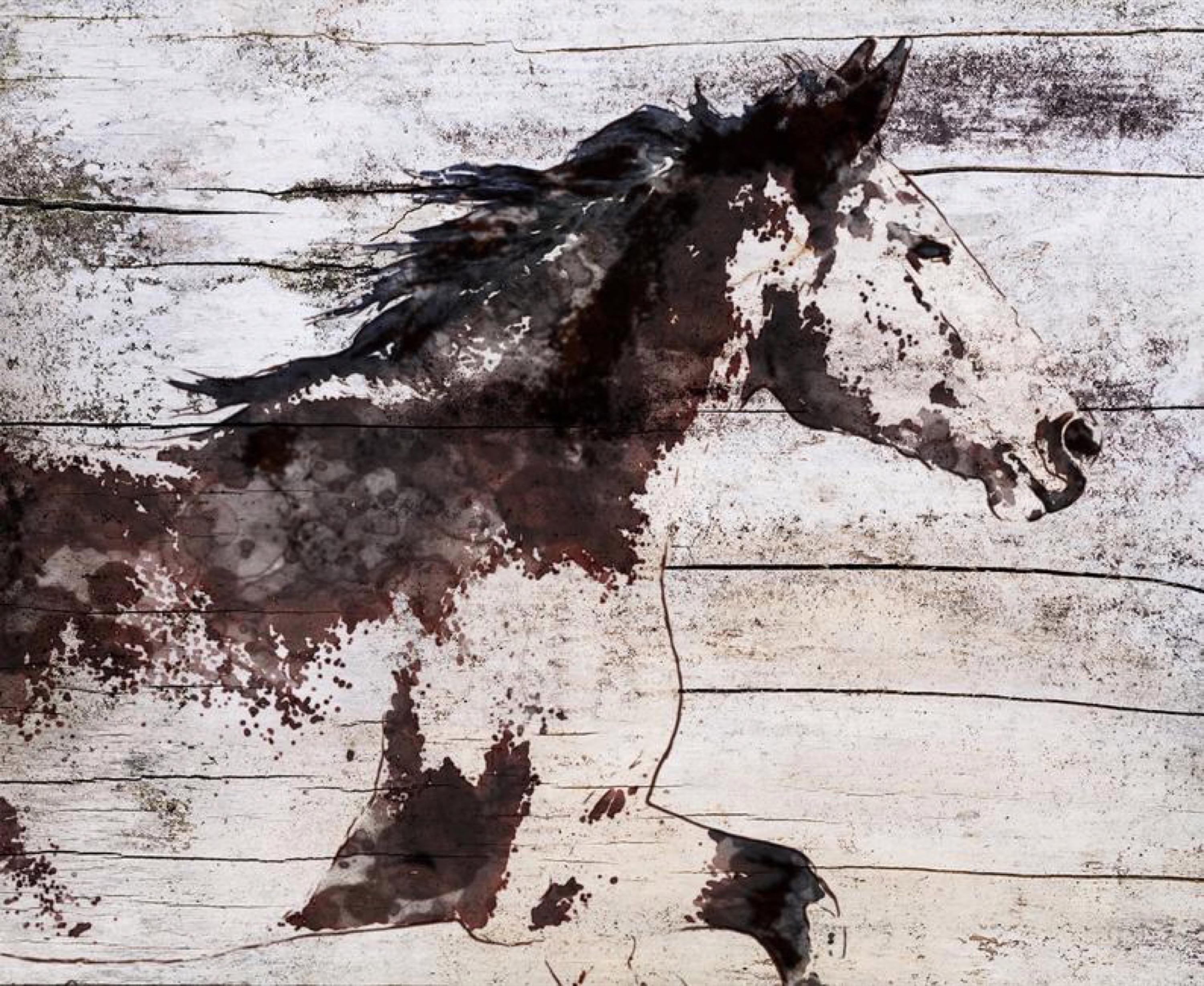 Wild Running Horse Rustic Mixed Media Painting Canvas 38x56" Equestrian Art 