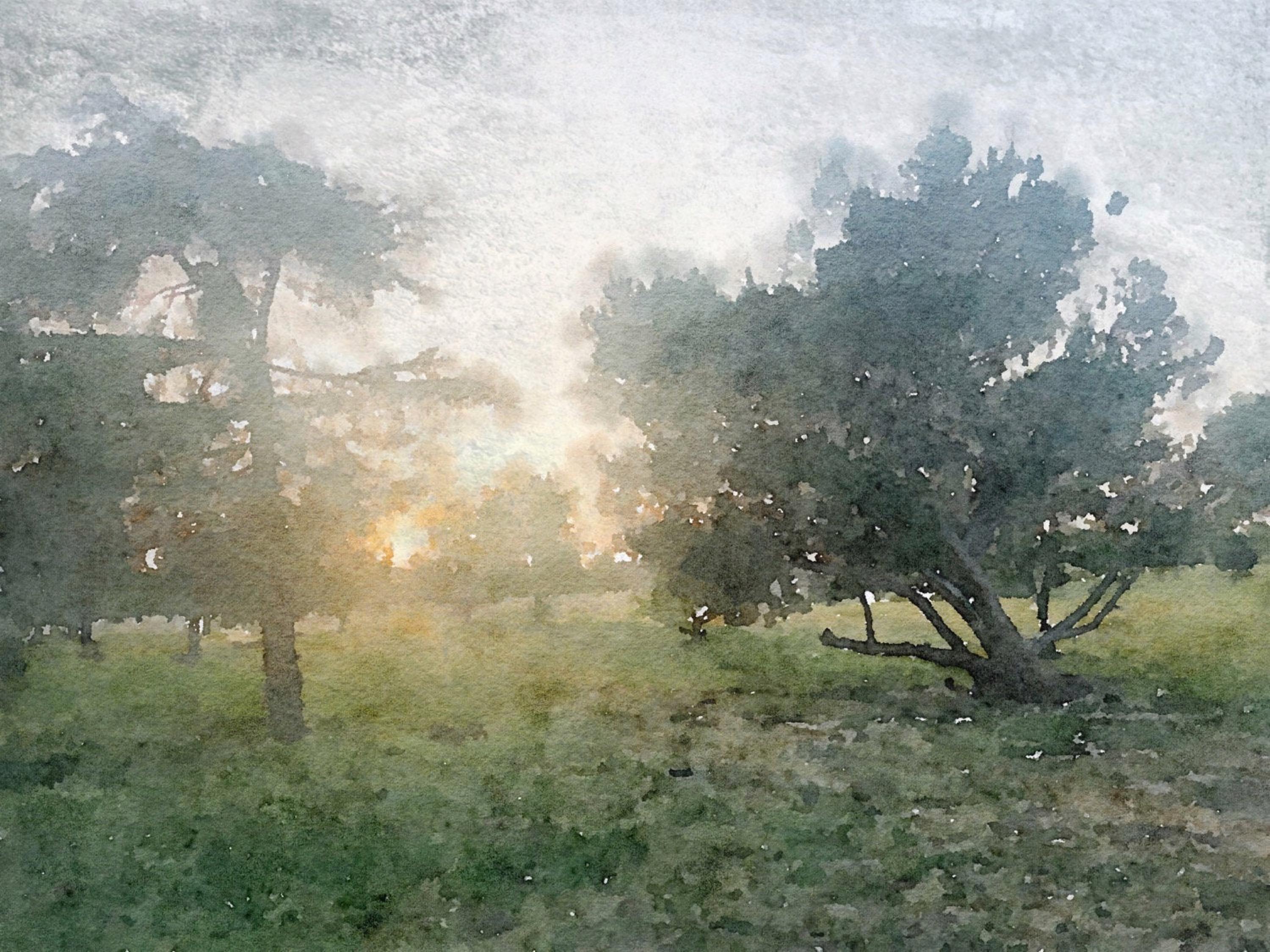 sunrise with trees painting
