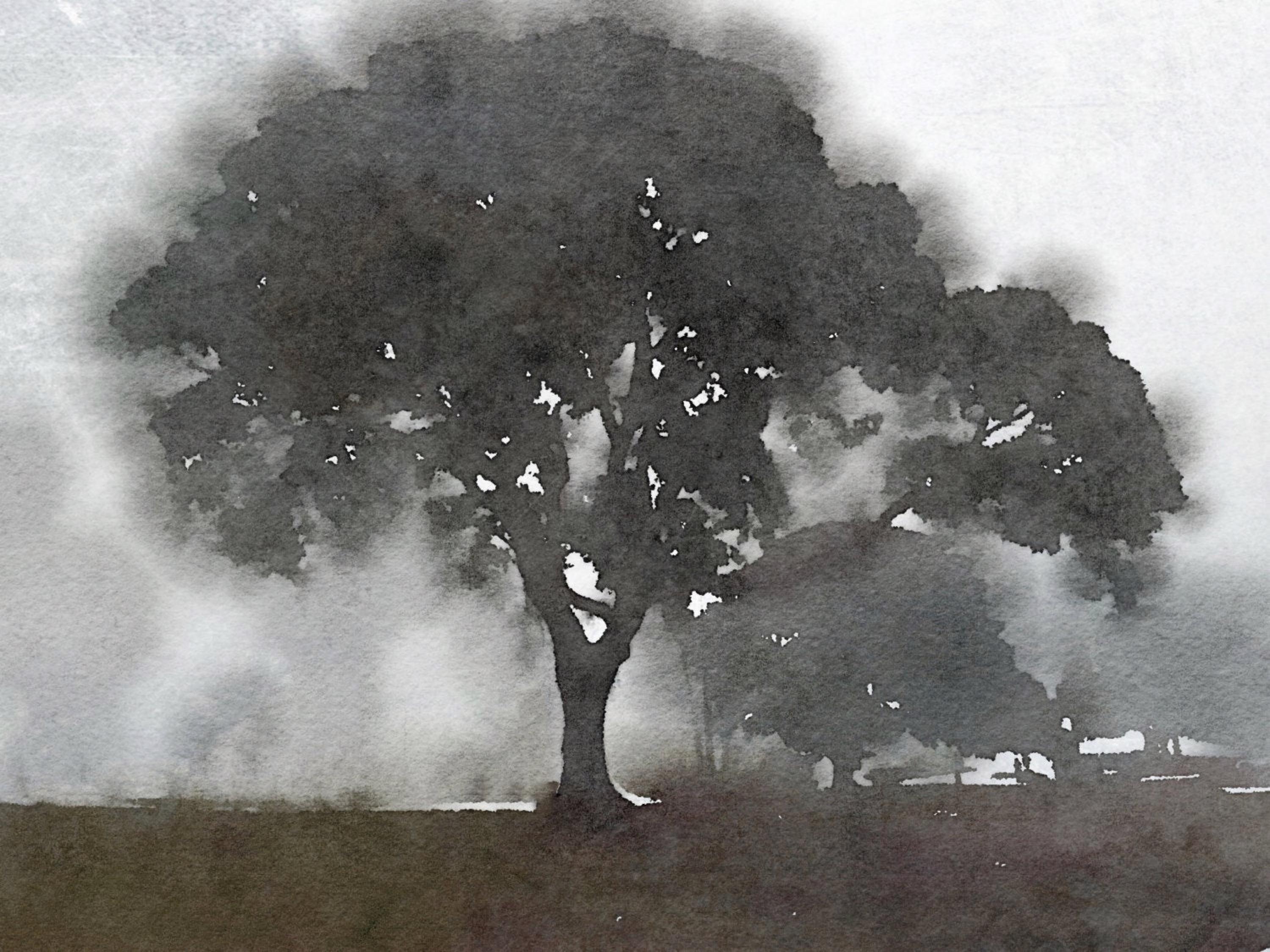 Foggy Trees Landscape Painting Hand Embellished Giclee on Canvas (Zeitgenössisch), Mixed Media Art, von Irena Orlov