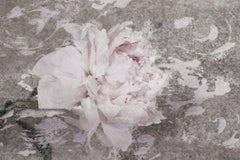 Blush Gray Spring Peony 1, Shabby Painting Hand Embellished Giclee on Canvas