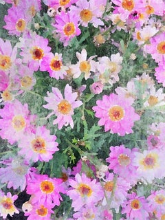 A Garden in Bloom Hot Pink Floral Painting Hand Embellished Giclee on Canvas 