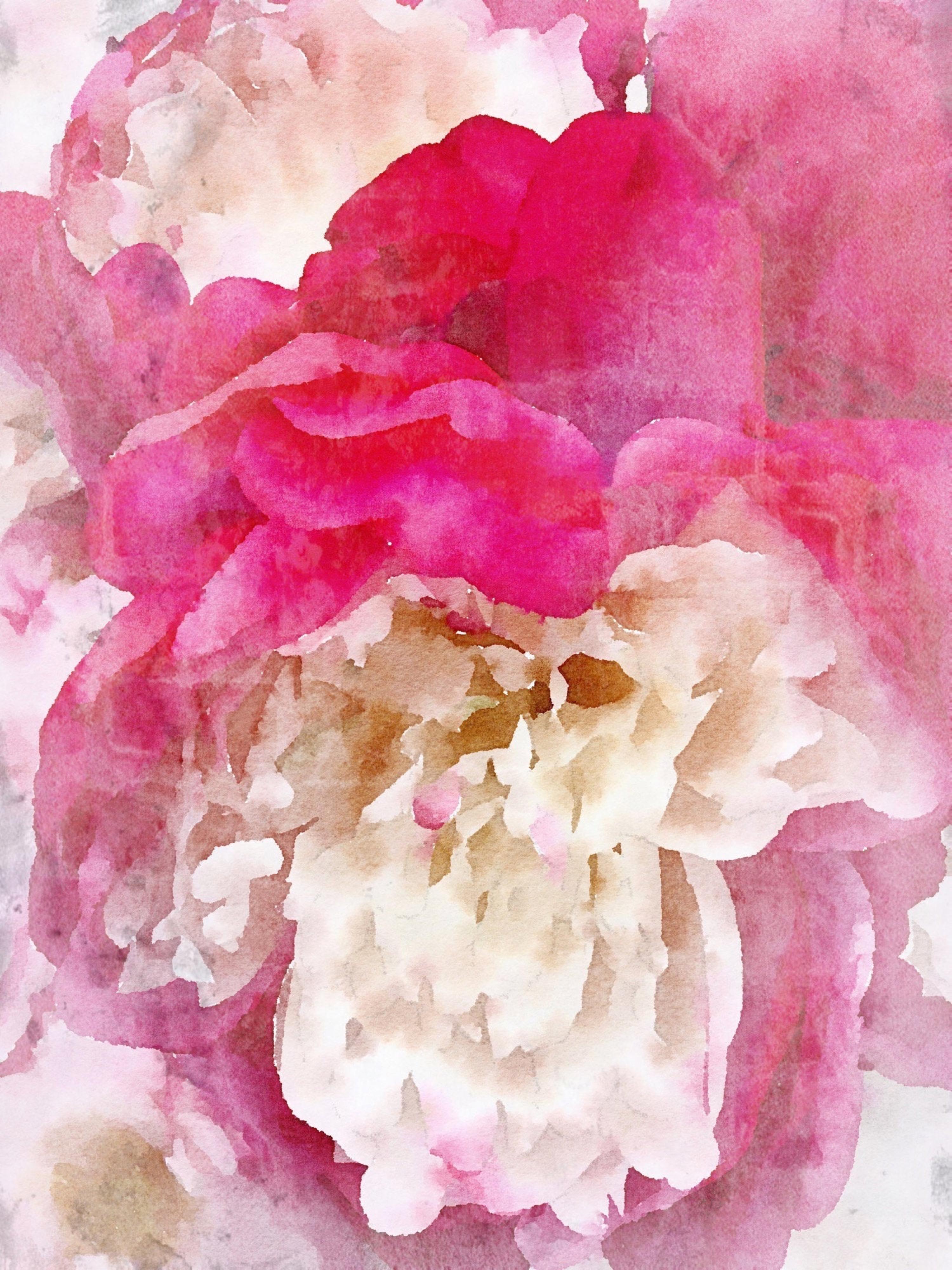 Pink Peony Shabby Chic Hand Embellished Textured Giclee on Canvas  - Mixed Media Art by Irena Orlov