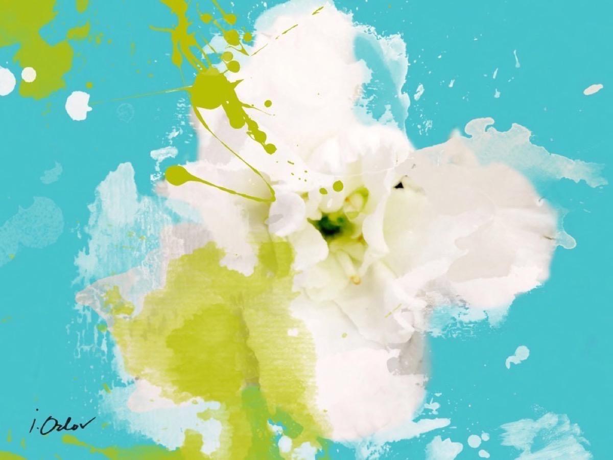 Aqua Weiße Blume Leuchtend Gemälde von Hand verschönert Giclee auf Leinwand 60 B x 40 H