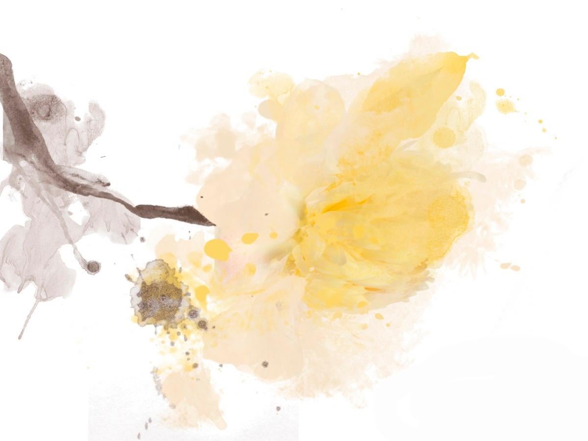 Pittura Peonia gialla impreziosita a mano Giclee su tela 40H X 60W Un tocco di luce in vendita 1