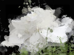 Majestad Blanco Negro Pintura Floral Adornada a Mano Giclee sobre Lienzo 40H X 60W