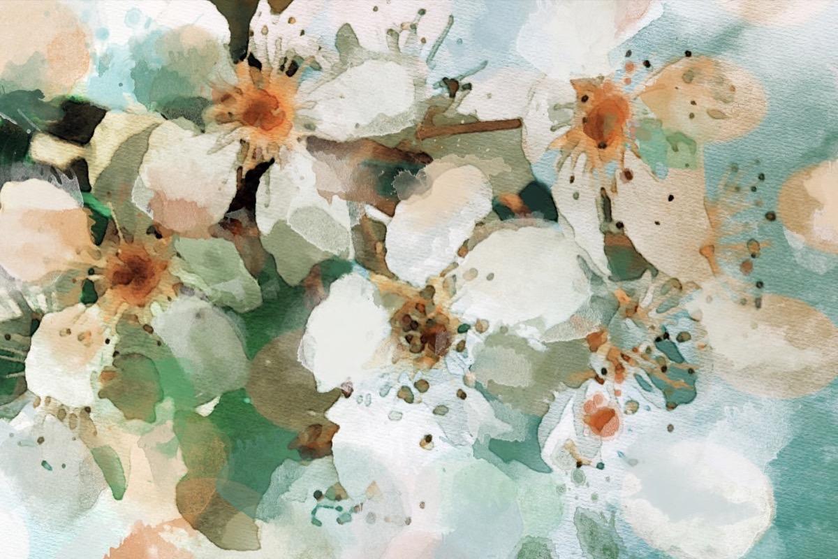 Floral Gemälde Giclee auf Leinwand 60WX40H, "Blumen der Blüte des Tages"