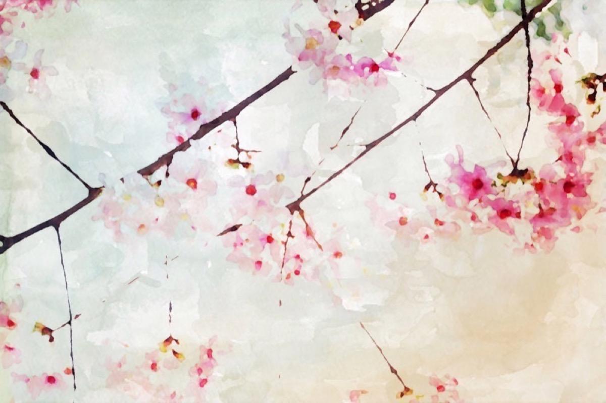 Pink Blooming Floral Painting Hand Embellished Giclee on Canvas 40H X 60W