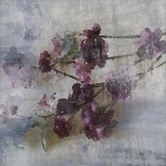 Purple Flowers Still Life Rustic Painting Art Textured Giclee on Canvas 45x45" 