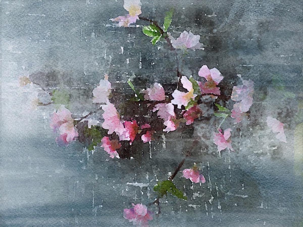 April Grace Pittura di fiori rustici abbellita a mano Giclee su tela 40H X 60W
