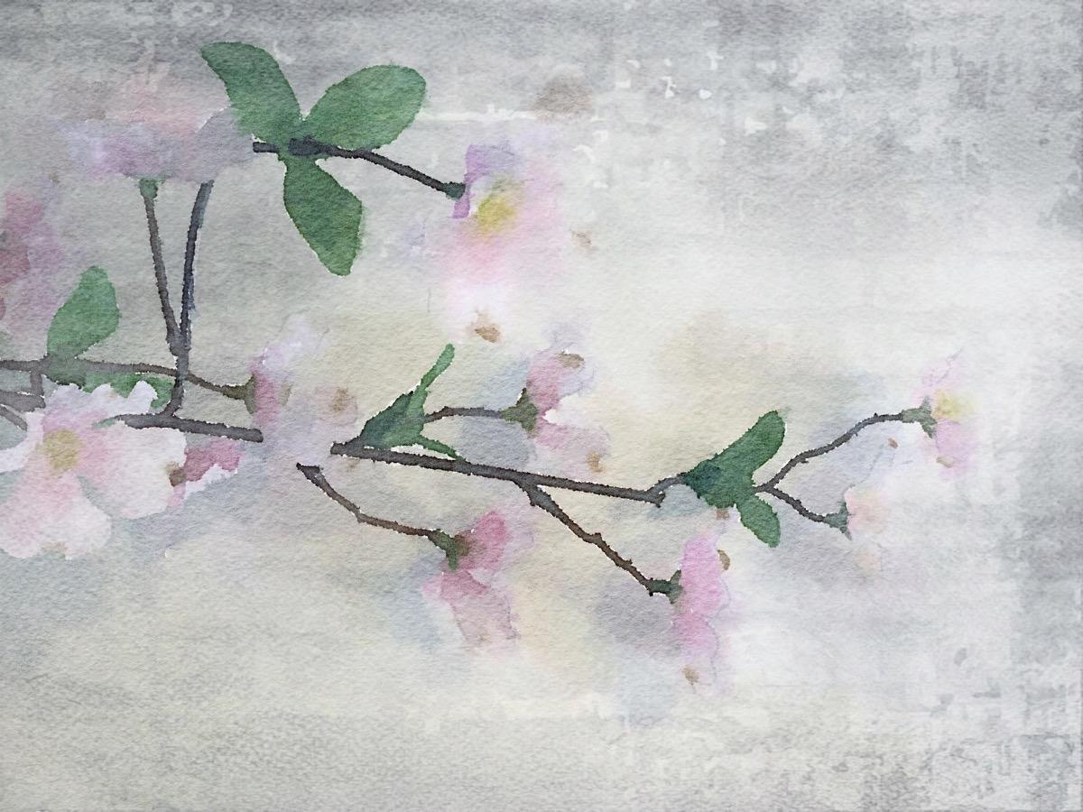 A Fresh Start Rustic Flowers Painting Embellished Giclee on Canvas 40H X 60W