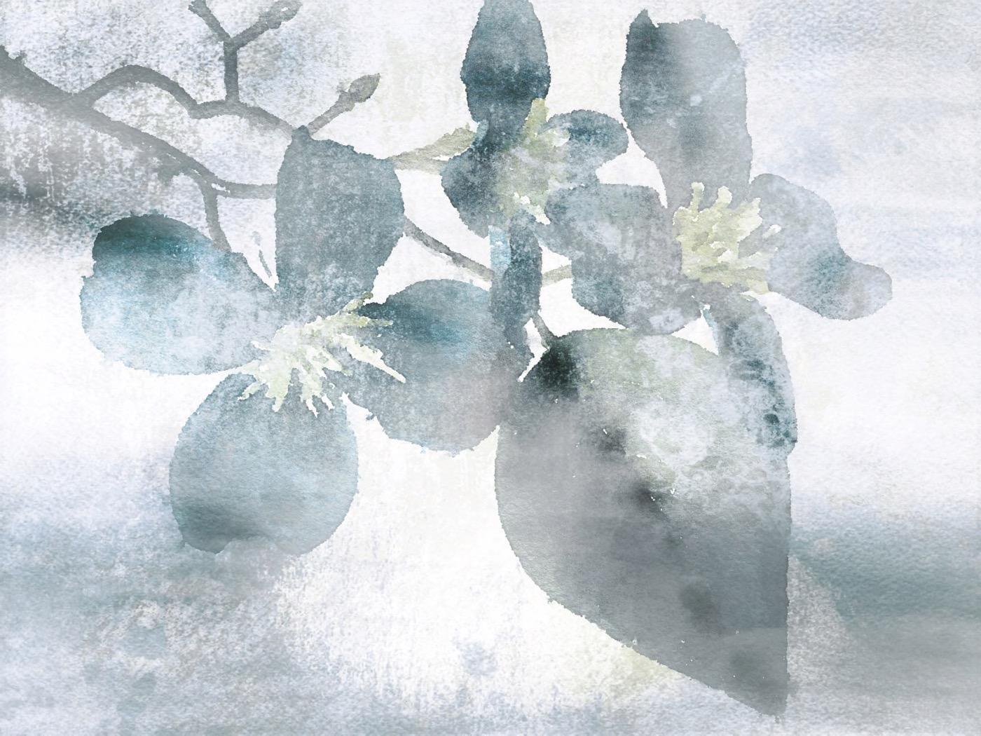Giclée sur toile orné de fleurs rustiques « In Love With Spring », 40 H x 60 L