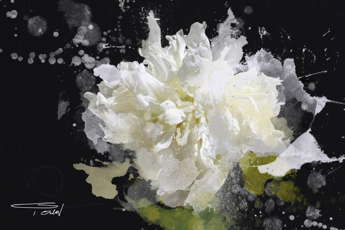Blow Away on The Wind Floral Painting Hand Embellished Giclee on Canvas 40H X60W - Mixed Media Art by Irena Orlov
