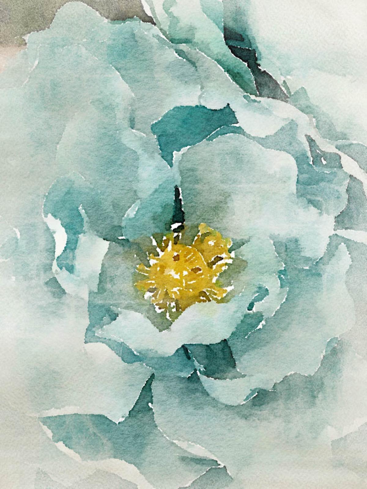 Aqua Dream Rustic Flowers Painting Embellished Giclee on Canvas 40w X 60h

State-of-the-art HAND EMBELLISHED ∽ MUSEUM QUALITY ∽ DISPLAY READY Giclee Reproduction
Each limited edition Giclee is hand embellished by the artist, making it one of a kind