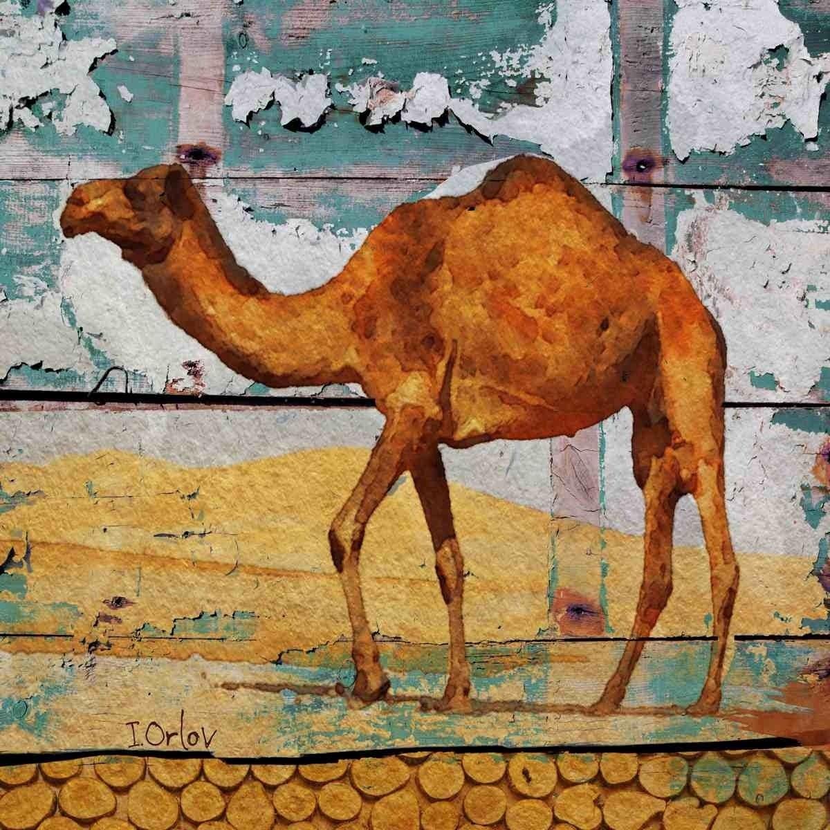 Camel, Rustikales Kamelien-Gemälde in Mischtechnik auf Leinwand 45x45" Bauernhaus-Wandkunst