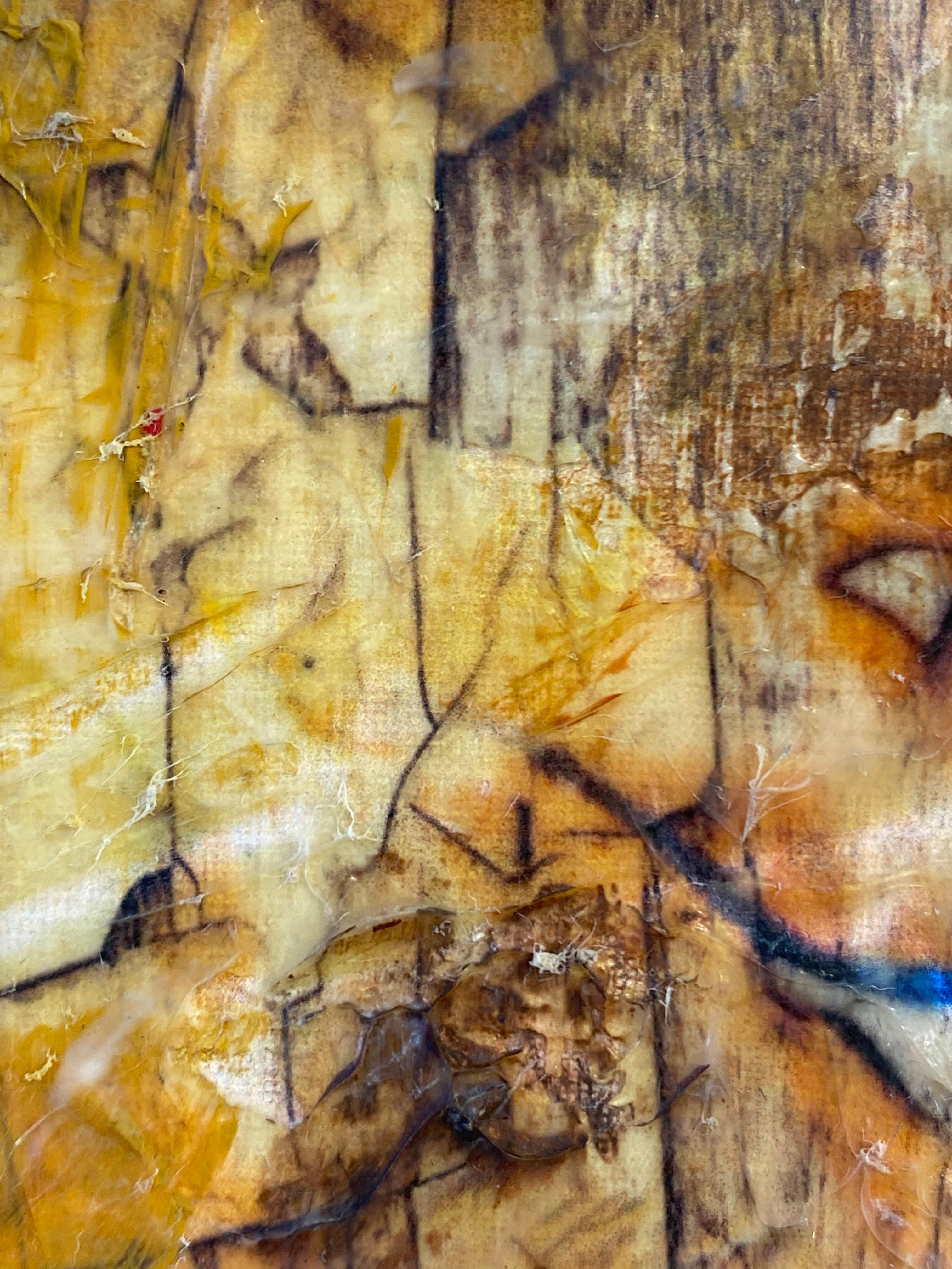 Pintura Tigre, Técnica mixta texturizada sobre lienzo 60 H X 40