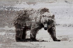 Bear Art, Bear Painting Fine Art Hand Embellished Giclee on Canvas