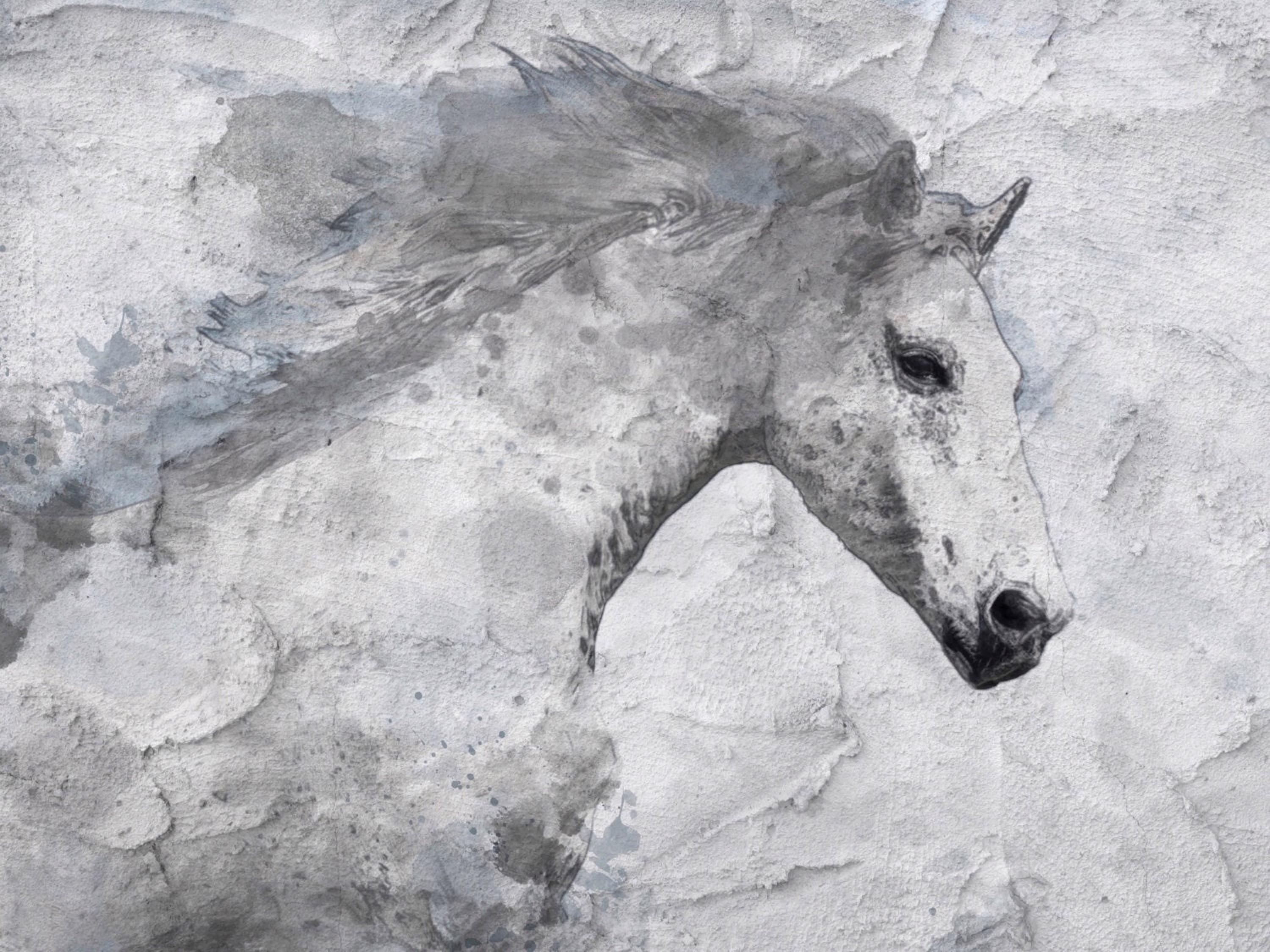Blue Sky Horse White Horse Mixed Media on Canvas Irena Orlov