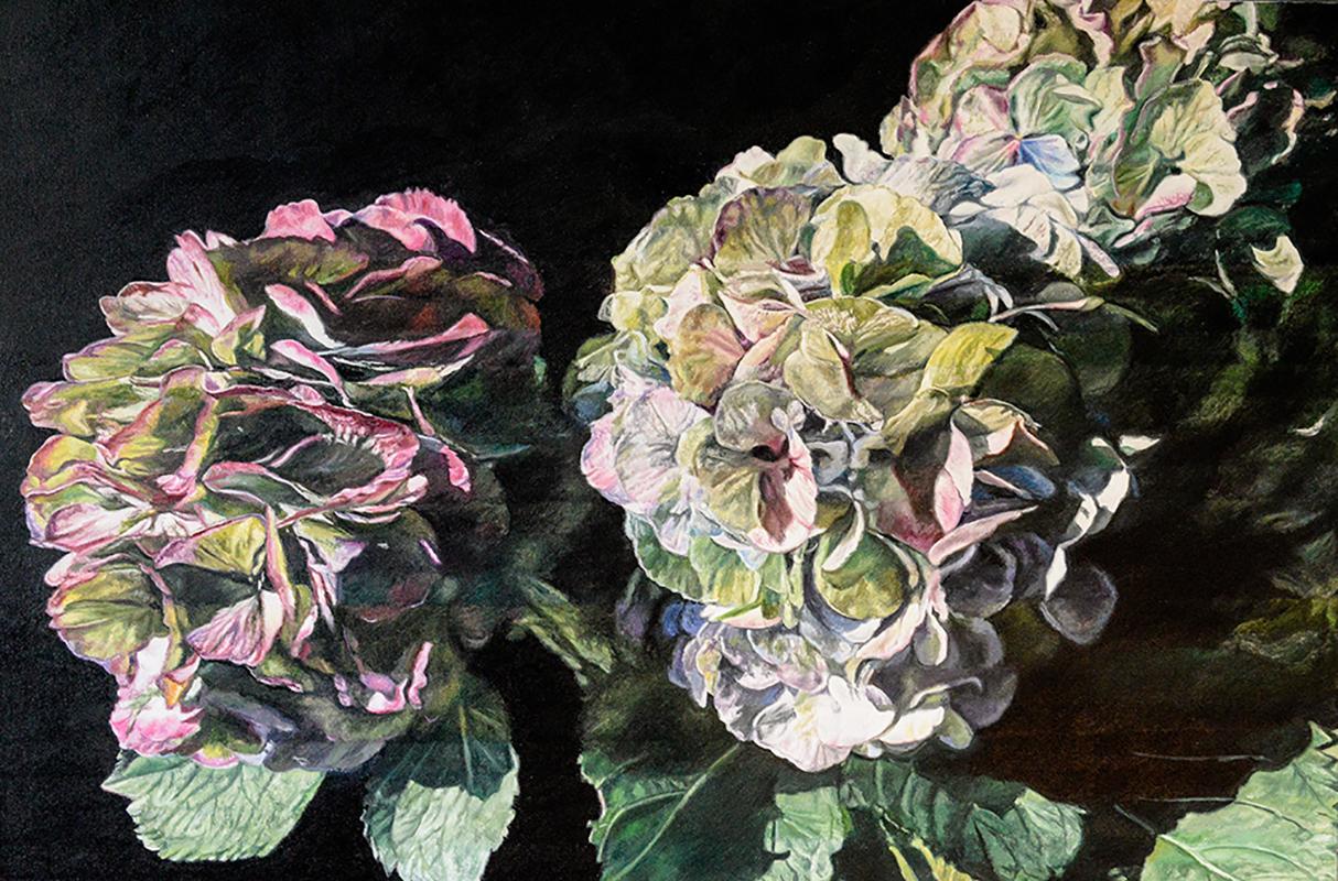 “I’ve enjoyed returning to flower shapes. There was a time when I was more interested in the volume of fruit, the structure and texture of old books, and finally tackling the figure and the topography of the face. Even painting animals, which is a