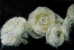 Original oil painting by Robert Lemay WHITE RANUNCULUS