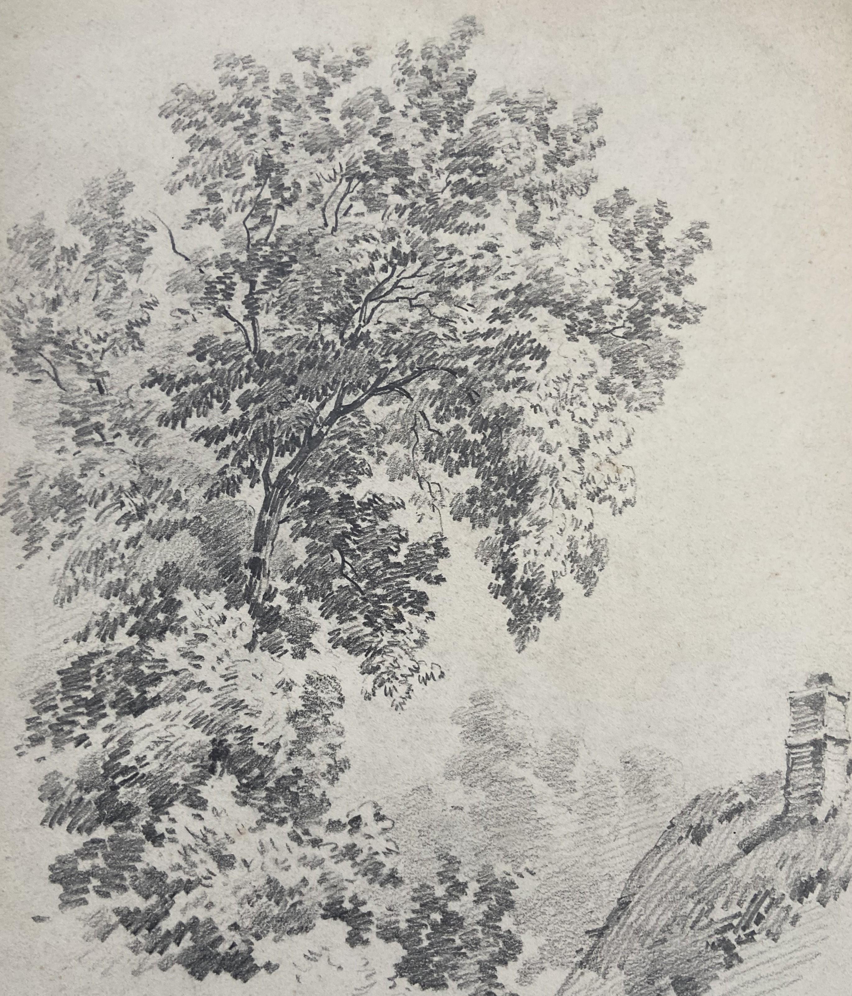 Eugène Cicéri (1813-1890) Un árbol sobre una casa de campo, dibujo original firmado 1