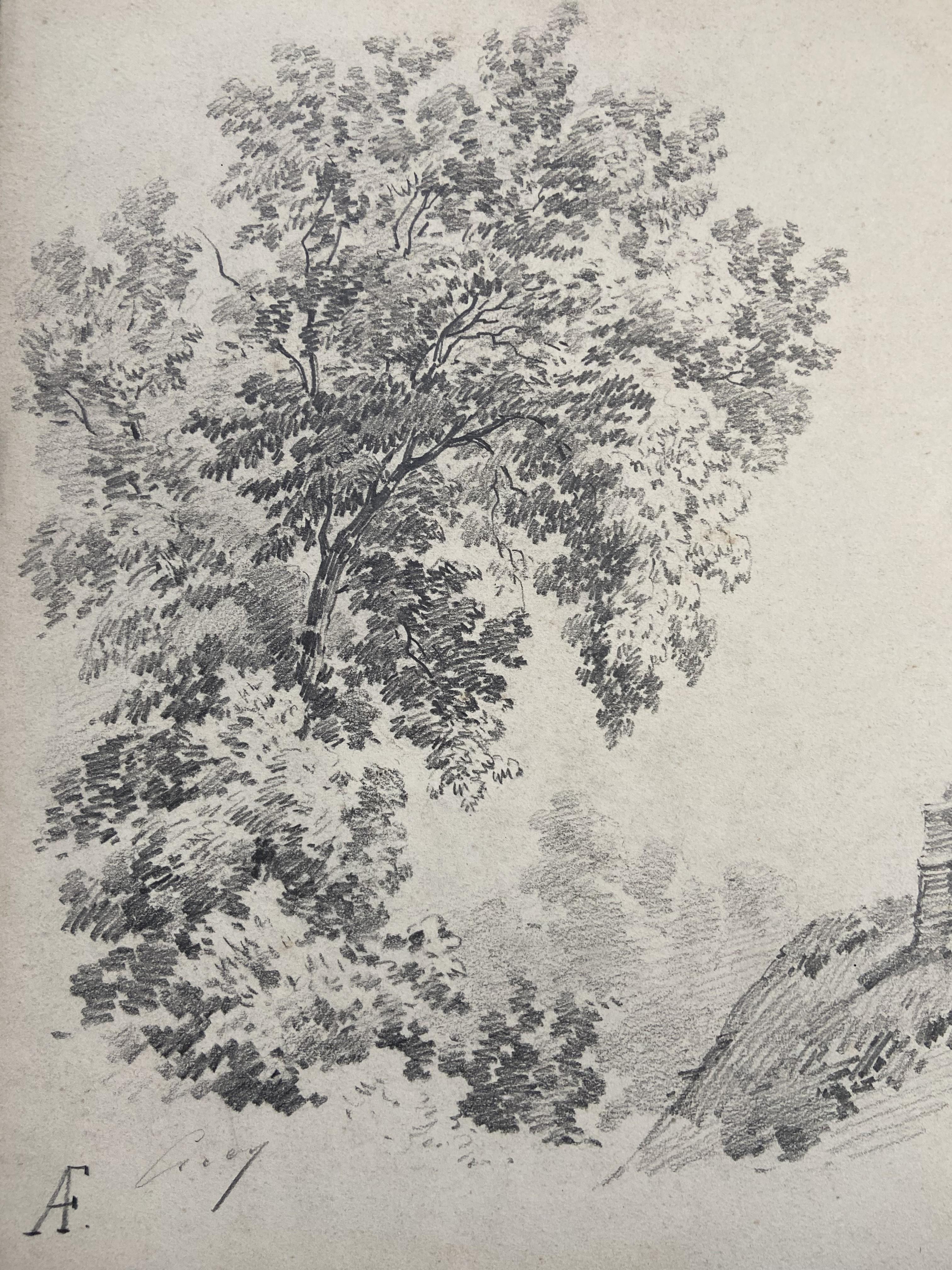 Eugène Cicéri (1813-1890) Un árbol sobre una casa de campo, dibujo original firmado - Art Romántico de Eugene Ciceri