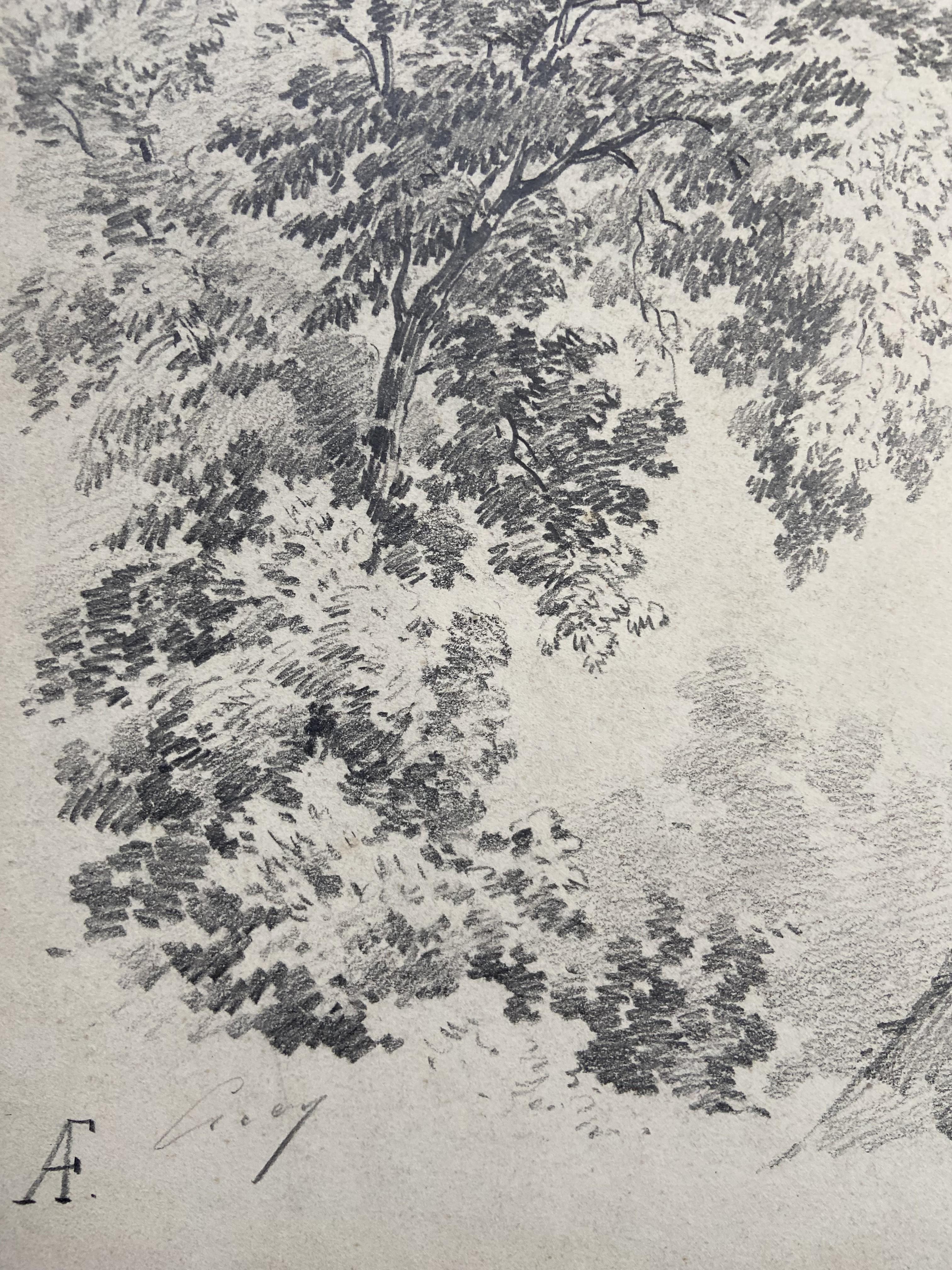 Eugène Cicéri (1813 - 1890)
Un árbol sobre una cabaña de paja
Firmado abajo a la izquierda, 
Monograma AE, probablemente una marca de coleccionista  como aparece en numerosos dibujos de Cicéri
30.5 x 23.5 cm 
En buen estado
enmarcado : 46 x 39 cm