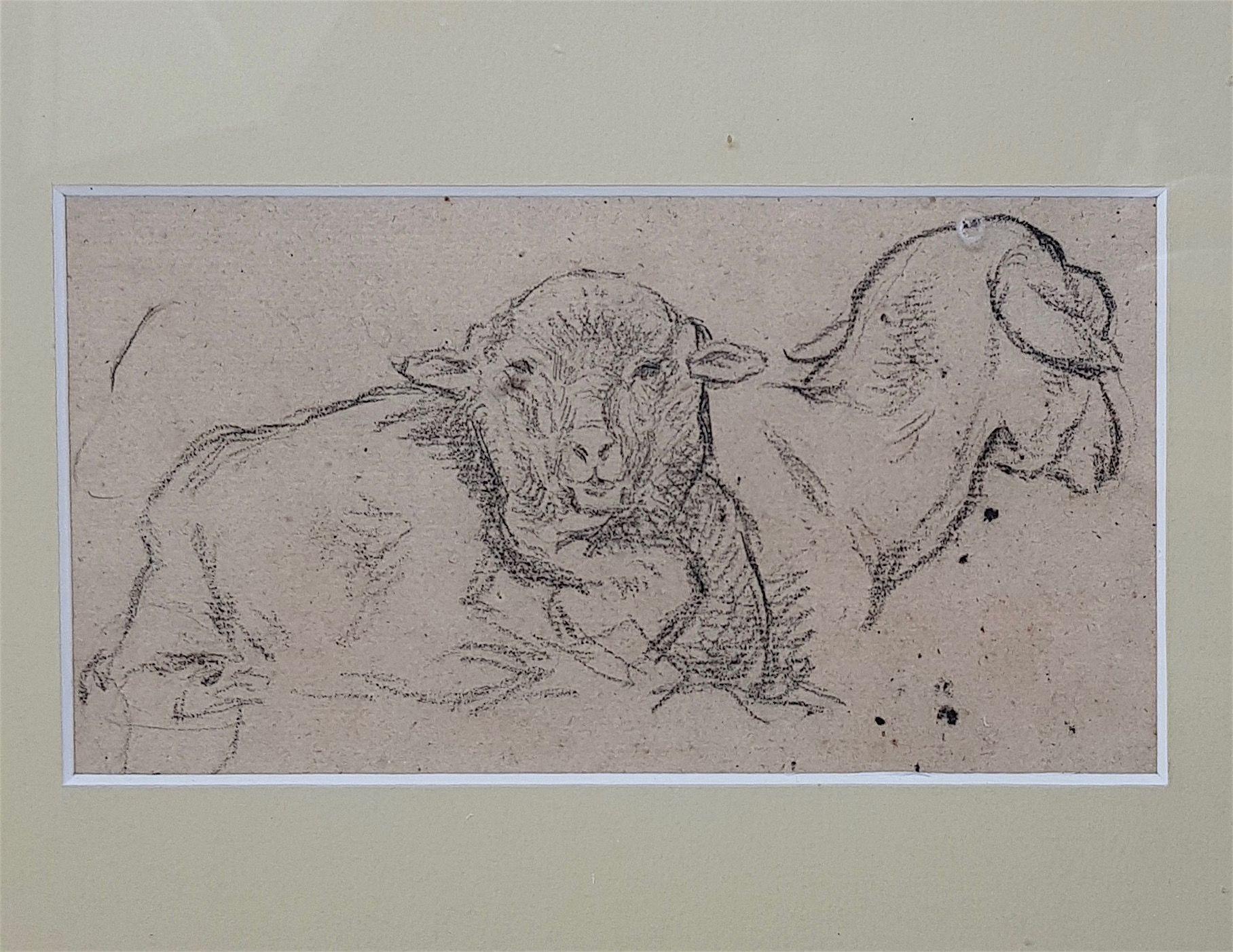 Charles Emile JACQUE (Paris 1813 - 1894) Deux moutons, dessin d'études