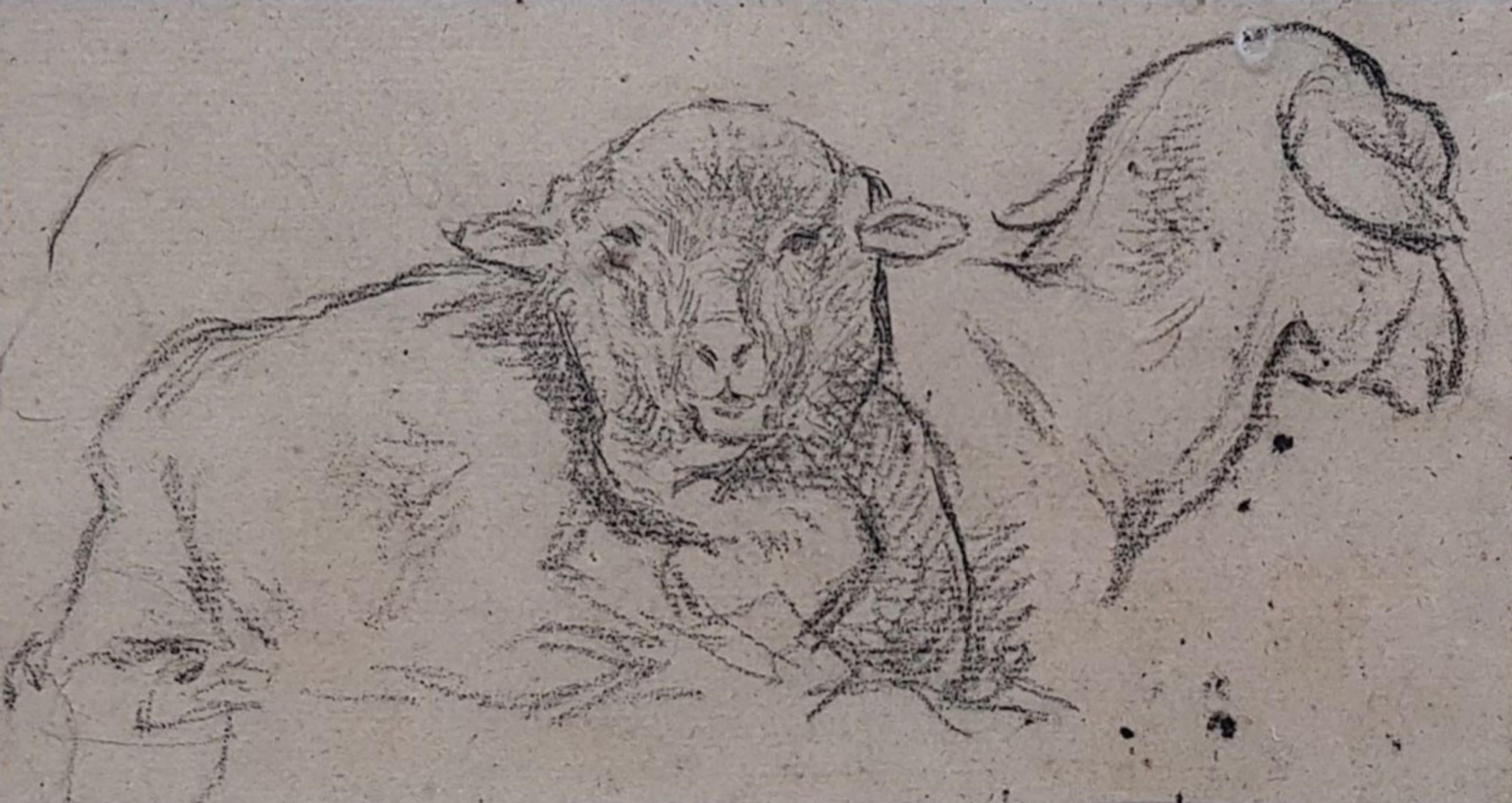 Charles Emile JACQUE (Paris 1813 - 1894) Two sheeps, studies drawing