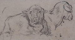 Charles Emile JACQUE (Paris 1813 - 1894) Deux moutons, dessin d'études