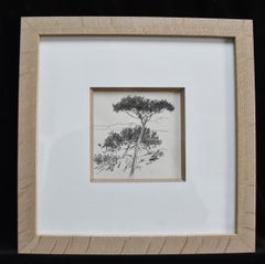 Felician Myrbach (1853-1940) Maritime pines, signed Ink drawing