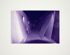 Purple, Contemporary, Photogravure, Original Fine Art Limited Edition Print 