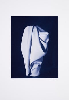 Valérie Collart - Blue, Contemporary, In the Folds of My Thirst I, Color Photogravure, Fine Art Used Blue, Contemporary, In the Folds of My Thirst I, Color Photogravure, Fine Art